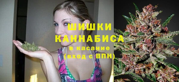 амф Пересвет