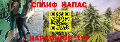 МДПВ Рузаевка