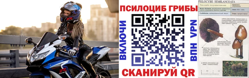 Галлюциногенные грибы Psilocybe  магазин    Урай 