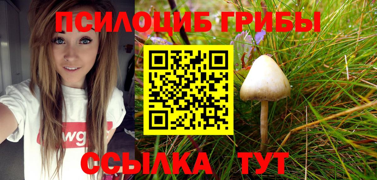 Урай  Псилоцибиновые грибы MAGIC MUSHROOMS  Вход с VPN  Псилоцибиновые грибы GOLDEN TEACHER 