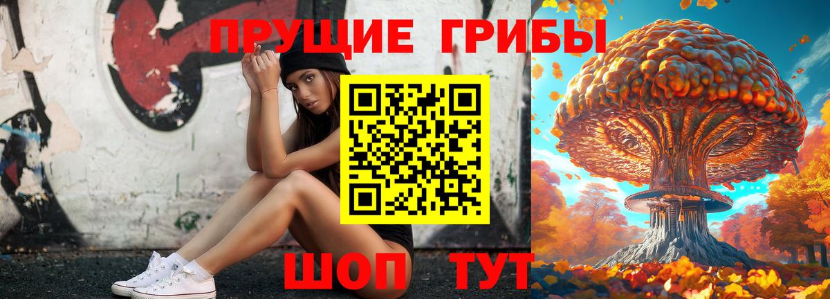 Псилоцибиновые грибы GOLDEN TEACHER Урай